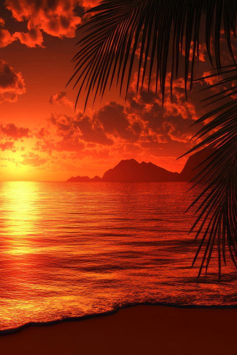 Sunset Backgrounds, Tropical Beach Sunset, Beach Sunset Wallpaper, Silhouette Frames, Palm Tree Silhouette, 4k Hd Wallpaper, Beach At Sunset, Sunset Background, Orange Sky