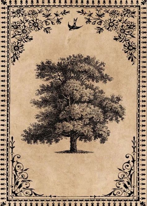 Books Antique, Old Paper Background, Picture Collage Wall, Vintage Tree, Printable Vintage, Arte Inspo, Antique Book, Vintage Poster Art, Art Collage Wall