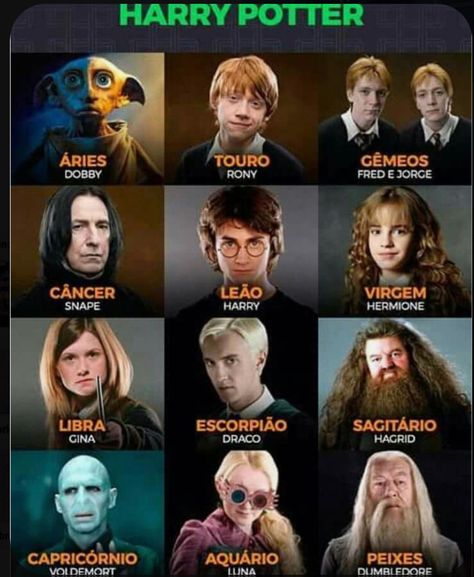 Harry Potter Zodiac Signs, Harry Potter Zodiac, Your Zodiac Your, Harry Potter Symbols, Harry Potter Voldemort, Harry Potter Character, Zodiac Signs Pictures, Funny Harry Potter Jokes, Zodiac Characters