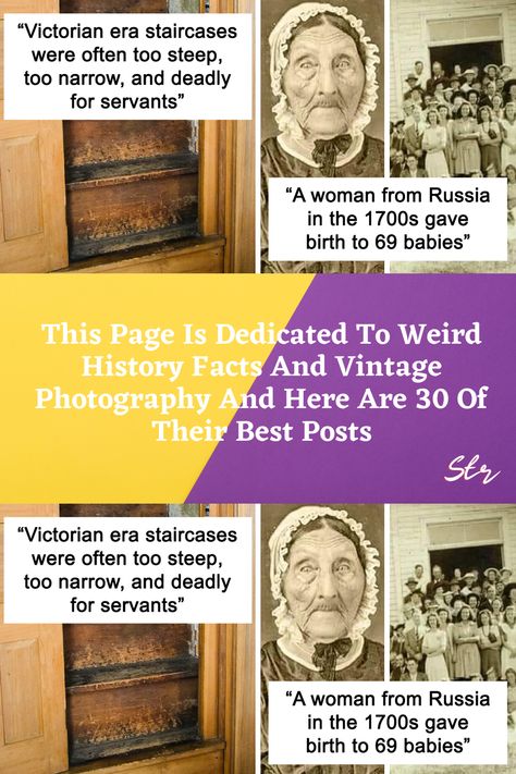 Weird History Facts, Weird History, Spotlight Stories, Popular Stories, Outdoor Signs, History Facts, Dad Jokes, Funny Pins, Vintage Photography