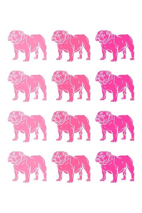 English Bulldog Wallpaper Iphone, Georgia Bulldogs Decor, Apartment Posters, Procreate Projects, Bulldog Wallpaper, Pic Wall, Bulldog Decor, Pink Dorm, Rhinestone Cowgirl