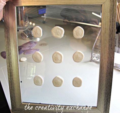 Tutorial for how to make double-sided glass frames to display shell collections (The Creativity Exchange) Trendy Glasses Frames, Sand Dollar Art, Glass Shadow Box, Art On The Wall, Frames Diy, Room Revamp, Document Frame, Vintage Burlap, Display Frames