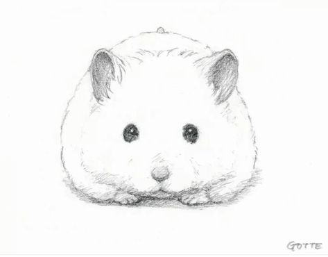 Animation Character Concept, Cartoon Drawings Of Animals, Pencil Drawings Of Animals, A Hamster, Dragonfly Art, Cartoon Sketches, Amazing Drawings, Hand Art Drawing, Cute Little Drawings