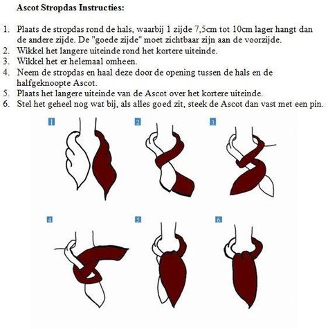 Tying an ascot (nabbed from Facebook) How To Tie An Ascot, Dapper Outfit, Ascot Ties, Men's Fashion, Sewing, My Style, Quick Saves, Clothes