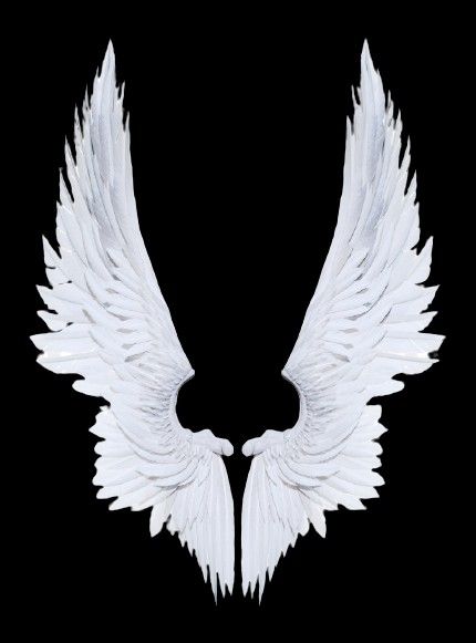 Dark Angel Wings, Small Angel Wings, Sacred Heart Art, Angel Wings Art, White Angel Wings, Wings Drawing, Best Photo Background, Witchy Wallpaper, Wings Art