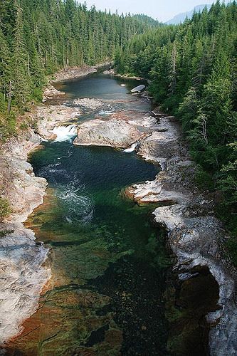 Nimpkish River in Woss, Northern Vancouver Island, British Columbia, Canada | by BCVacation British Columbia Winter, Campbell River Vancouver Island, Places Pictures, West Coast Canada, Country Animals, Campbell River, Beautiful Canada, Unique Photos, Exotic Places