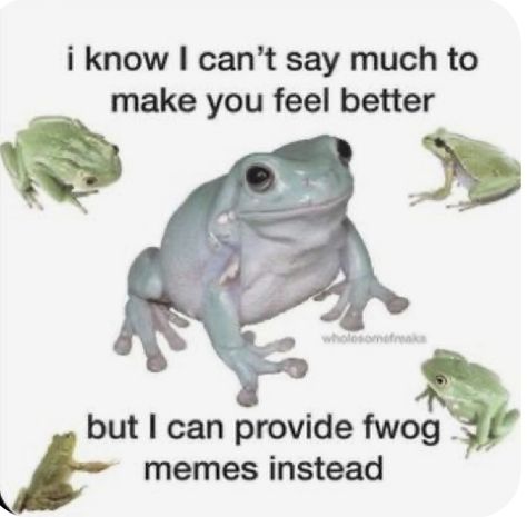 Frog pin.  Says “I know I can’t say much to make your feel better, but I can provide frog men’s instead.” There are frog photos, not my original pin Meme Random, Frog Meme, Frog Pictures, Funny Frogs, Frog Art, Sticker Ideas, Cute Messages, Funny True Quotes, Frog And Toad