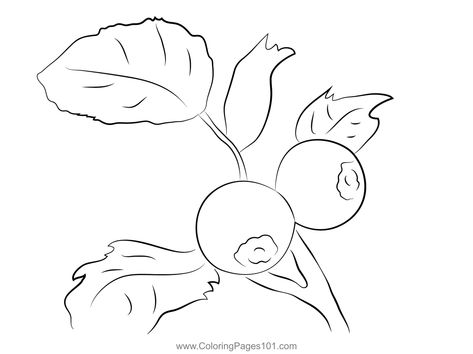 Huckleberry Coloring Page Flower Stencil Patterns, Flower Stencil, Stencil Patterns, Drawing Easy, Craft Tutorials, Free Kids, Printable Coloring Pages, Printable Coloring, Coloring Pages For Kids