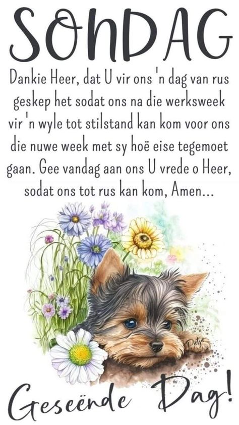 Goeie More Sondag, Geseënde Dag, Nuwe Week, Good Morning Wishes Love, Christian Good Morning Quotes, Lilac Cottage, Good Night Love Pictures, Afrikaans Quotes, Android Wallpaper Flowers