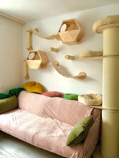 Cat Track On Wall, Cat Things For Home Aesthetic, Cat Wall Climbing Ideas, Cat Obstacle Course On Wall, Cute Cat Shelves, Ultimate Cat Room, Cat Vertical Space Diy, Cat Platforms On Wall, Cat Section In Room