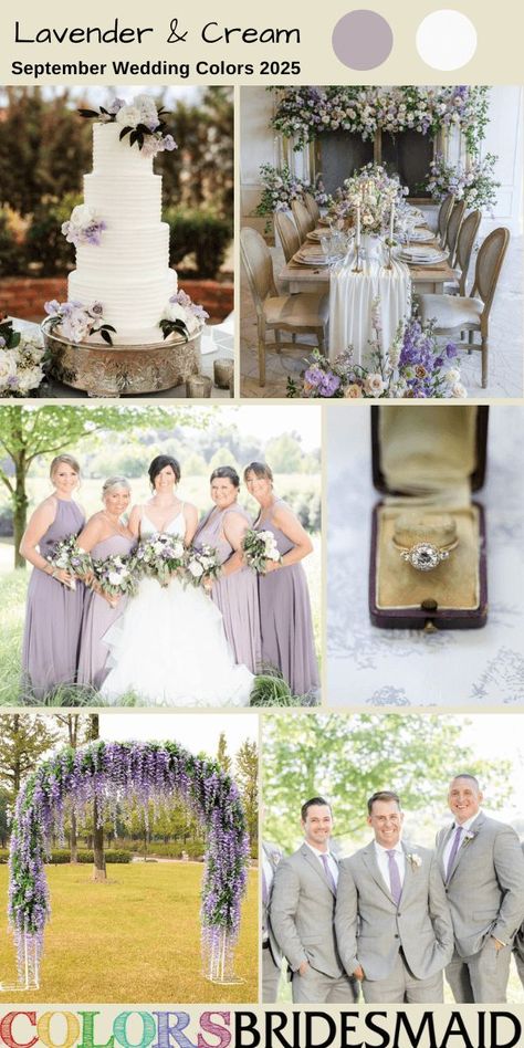 Lavender and cream for September wedding colors 2025, lavender bridesmaid dresses, cream bridal gown, light grey groomsmen suits and lavender ties, cream wedding table runner, wedding cake and wedding chairs, cream and lavender flowers and greenery of bouquets, ceremony arch, wedding table décor and wedding cake décor. #weddingcolors #weddingideas #septemberweddings #colsbm #2025 #fallwedding #lavenderweddings #purpleweddings #bridesmaiddresses #lavenderandcream Royal Blue And Lilac Wedding, Light Grey Groomsmen Suits, Light Grey Groomsmen, Bridesmaid Dresses Cream, Lilac Wedding Theme, Wedding Colors 2025, Grey Groomsmen Suits, Ceremony Arch Wedding, Lavender Champagne