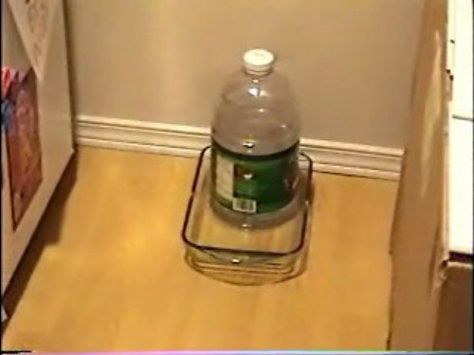 Automatic Pet Water Dispenser - 20 Fun and Creative Crafts with Plastic Soda Bottles Dog Feeder Automatic, Dog Water Dispenser, Chat Diy, Kat Diy, Reuse Plastic Bottles, Cat Feeder, Dog Feeder, Cat Drinking, Plastic Bottle Crafts