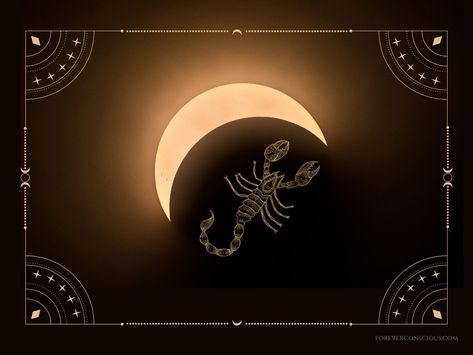 Scorpio Solar New Moon Eclipse Ritual October 2022 - Forever Conscious Eclipse Ritual, Scorpio New Moon, New Moon Solar Eclipse, New Moon Eclipse, Eclipse Season, Blood Moon Eclipse, Soul Contract, The Scorpio, Solar Eclipses