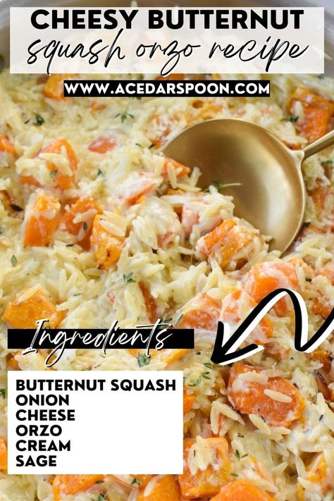 Cheesy Butternut Squash Orzo Recipe Butternut Squash Orzo, Squash Orzo, Cheesy Butternut Squash, Baked Feta Recipe, Creamy Cheese Sauce, Vegetarian Mains, Orzo Recipes, Fresh Sage, Side Dishes For Bbq