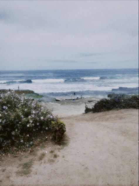 Flowers And Beach Aesthetic, Calm Vintage Aesthetic, Airy Beach Aesthetic, Relaxing Beach Aesthetic, Ocean Calm Aesthetic, Floral Beach Aesthetic, Beach Aesthetic Polaroid, Ocean Aesthetic Photos, Vintage Album Covers Aesthetic