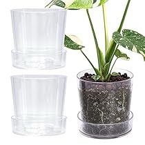 Bottom Watering, Indoor Water Garden, Orchid Pot, Root Growth, Plant Health, Plastic Pots, Glass Containers, Water Garden, Indoor Plants