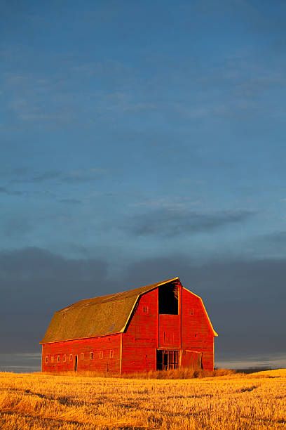 73,162 Old Barns Stock Photos, Pictures & Royalty-Free Images - iStock Red Barn Photos, Barn Pictures, Barn Art, Red Barns, Old Barns, Red Barn, Royalty Free Images, First Time, The First