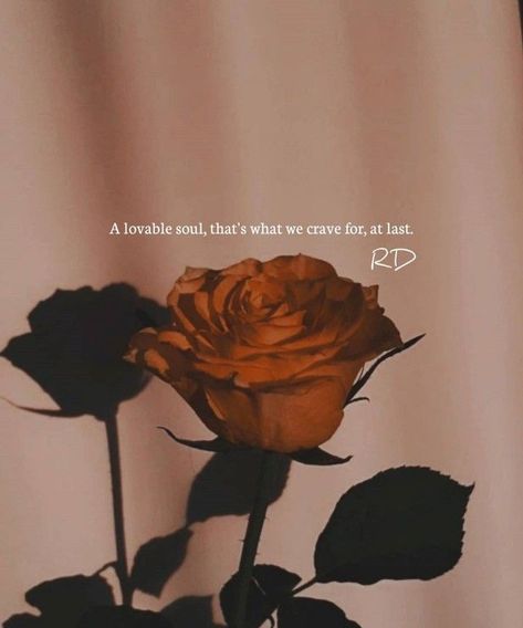 Follow for more pics 😉 Rose Day Images, Read Quotes, Rose Quotes, Rose Day, About Rose, Fantasy Quotes, Classy Quotes, Soothing Quotes, Valentine's Week