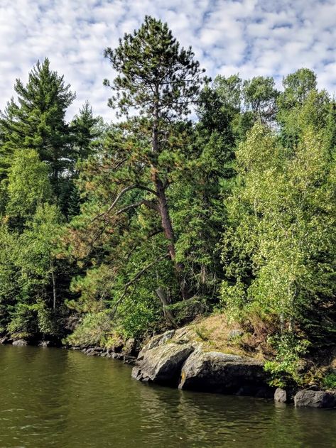 15 Best Things to Do in Voyageurs National Park 3 Rainy Lake, Voyageurs National Park, Travel Rewards Credit Cards, Duluth Pack, Best Travel Backpack, Outdoor Adventure Gear, Places To Explore, Boreal Forest, Hiking National Parks