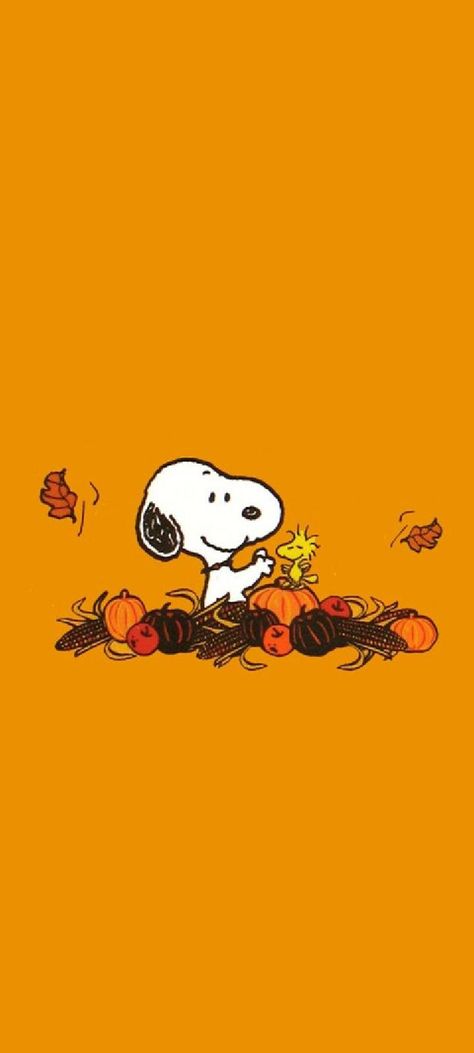 Peanuts Autumn Wallpaper, Fall Peanuts Aesthetic, Simple Halloween Phone Wallpaper, September Snoopy Wallpaper, Snoppy Cute Wallpaper Fall, Charlie Brown Thanksgiving Wallpaper Iphone, Snoopy Background Wallpapers, Snoppy Wallpapers Fall, Snoopy Fall Autumn Wallpaper