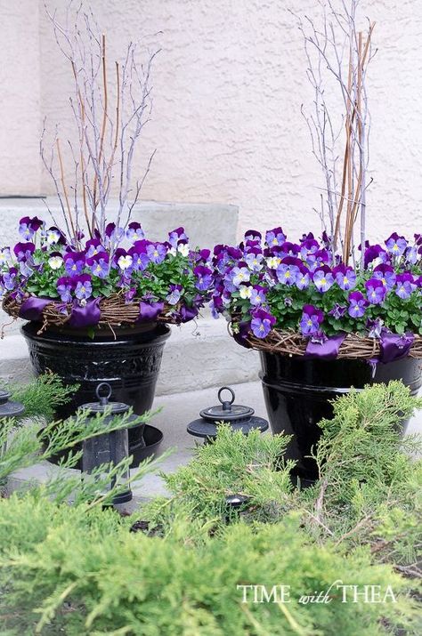 how to create a gorgeous pansy outdoor planter in four easy steps, container gardening, flowers, gardening, how to Spring Urns, Spring Planters, Spring Planter, Vine Wreath, Flowers Gardening, Spring Outdoor, Gardening Flowers, Trailing Plants, Outdoor Planter