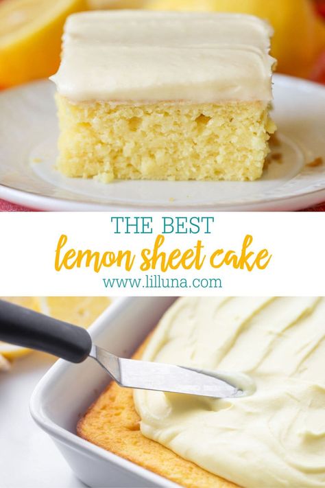 Bright Lemon Sheet Cake with creamy lemon buttercream frosting is a sunny dessert perfect for feeding a crowd! #lemonsheetcake #sheetcake #lemoncake #lemon #cake Lemon Sheet Cake Recipe, Lemon Sheet Cake, Easy Lemon Cake Recipe, Half Sheet Cake, Lemon Cake Easy, Lemon Buttercream Frosting, Sheet Cake Recipe, Lemon Treats, Sugar Free Pudding