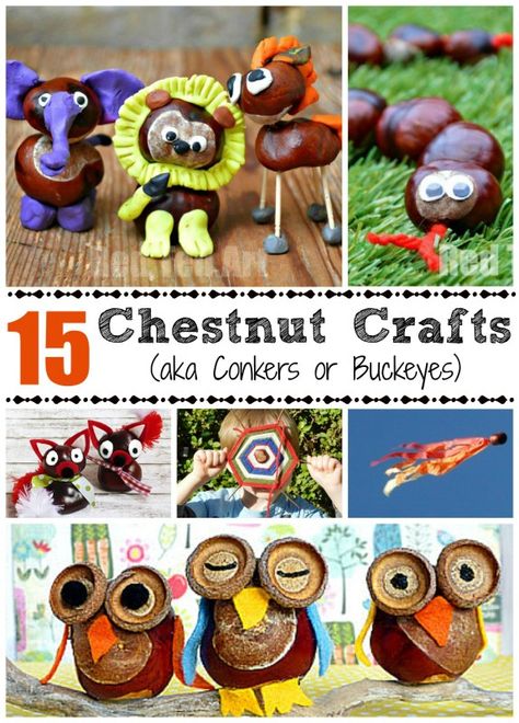 Christmas Chestnuts Decoration, Things To Make With Conkers, Chesnutt Craft, Things To Do With Conkers, Buckeye Crafts Ideas, Conker Craft Ideas, Conker Activities, Conker Art, Conker Crafts