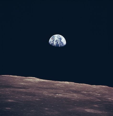 Picture of the Day: This Was Taken Exactly 45 Years Ago «TwistedSifter Earth Rise, Earth From Moon, Apollo 11 Moon Landing, Apollo 11 Mission, Space Photography, Apollo 11, Moon Landing, Amazing Spaces, Earth From Space