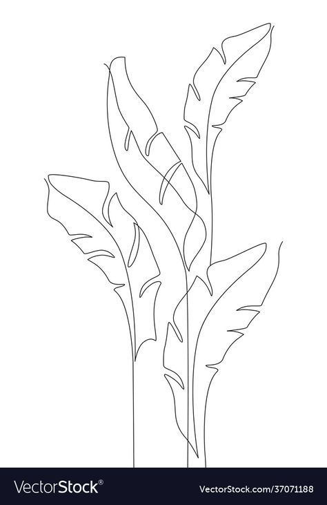 Banana Leaf Line Drawing, Tropical Leaves Line Art, Bird Of Paradise Line Drawing, Tropical Leaves Drawing Simple, Banana Leaf Outline, Tropical Leaf Line Art, Tropical Leaves Outline, One Line Leaf Drawing, Jungle Line Art