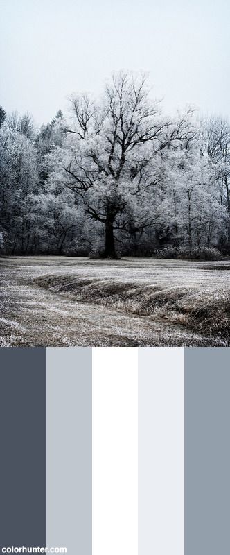 On A Cold Winter's Day 01 Color Scheme from colorhunter.com Cold Grey Palette, Cold Pallette, Cold Pallet Colors, Grey Pallete Color, Cold Colour Palette, Cold Color Palette, Cold Colors, Calm Color Palette, Outside Paint