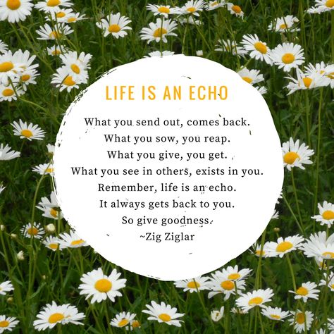 Life is an echo quote - Zig Ziglar