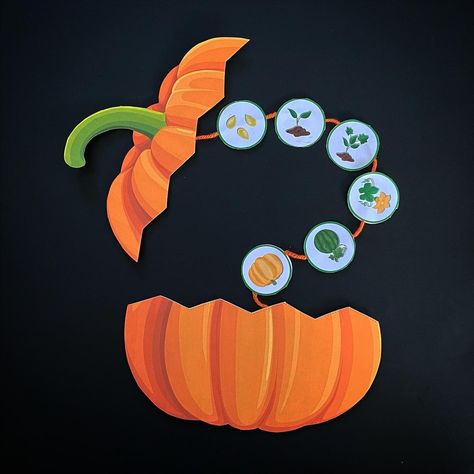 Pumpkin Life Cycle Preschool, Pumpkin Cycle, Parts Of Pumpkin, Pumpkin Life Cycle Craft, Flower Activities For Kids, Life Cycles Kindergarten, Life Cycles Preschool, Life Cycle Of A Pumpkin, Parts Of A Pumpkin