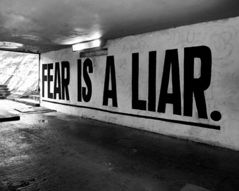 Fear Is A Liar, What Is Fear, Seeing Quotes, Chase Your Dreams, Best Inspirational Quotes, Morning Motivation, Business Inspiration, Be Yourself Quotes, Inspirational Words