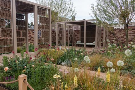 Sanctuary Garden, Chelsea Flower, Plant Combinations, Chelsea Flower Show, Bedding Plants, Garden Structures, Flower Show, Brick Wall, Water Features