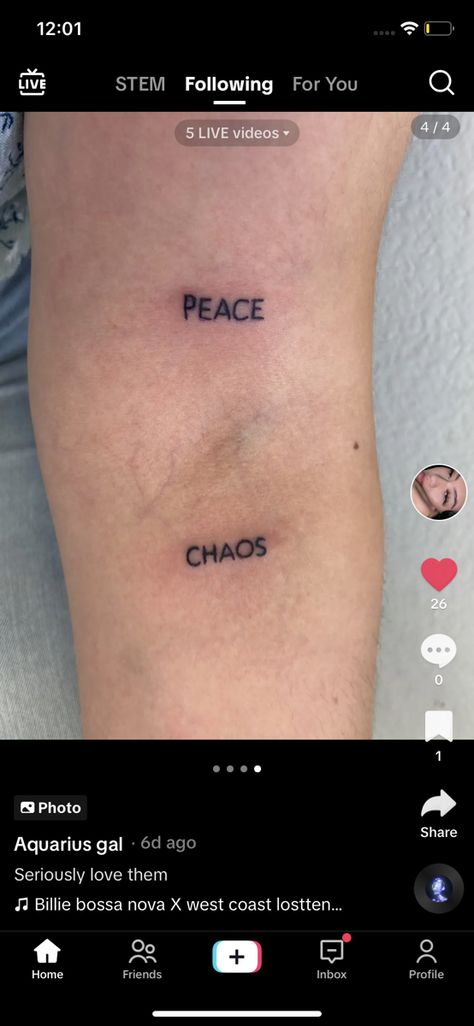 Chaos Peace Tattoo, Chaos Tattoo, Peace And Chaos, Peace Tattoos, Bossa Nova, Live Video, Tattoos, Quick Saves