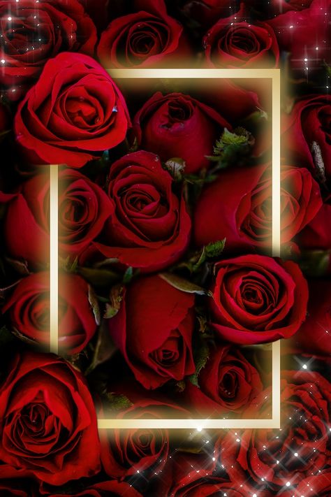 Rose Background Wallpapers, Flower Frame Design Beautiful, Roses Background Aesthetic, Rose Frame Background, Red Rose Background, Light Background Design, Red Roses Background, Famous Wallpaper, Rose Wallpapers