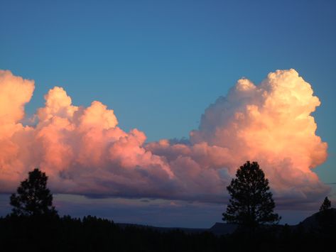 Sunset Skies, Cloud Photos, Clouds Photography, Sunset Clouds, Sunset Landscape, Cloud Painting, Landscape Drawings, Pink Clouds, Sunset Sky