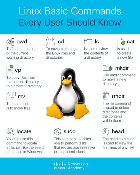 Cisco Networking Academy on LinkedIn: #linux | 40 comments Cisco Networking Technology, Linux Commands, Basic Computer Programming, Cisco Networking, Learn Computer Science, Programing Knowledge, Linux Operating System, Learn Computer Coding, Coding Languages