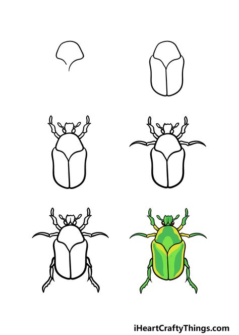 Bug Drawing Tutorial, Insect Doodles Easy, Insects Drawing Easy, June Bug Painting, June Bug Drawing, Bug Drawing Cute, Easy Bug Drawing, Bug Drawing Insects, Insect Drawing Simple