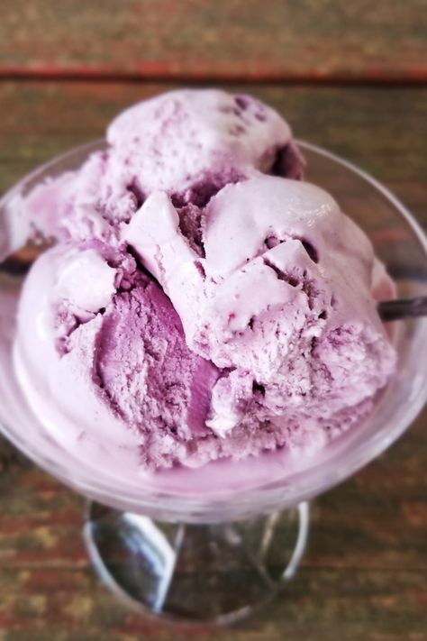 Blackberry Ice Cream | "Capture the fresh taste of summer blackberries in a no-fail ice cream recipe." #dessertrecipes #dessertideas #dessertdishes #dessertinspiration #frozendesserts #icebox #iceboxdessert #nobakedessert Mixed Berry Sorbet, Basil Ice Cream, Blackberry Ice Cream, Sherbet Recipes, Pomegranate Recipes, Gelato Recipe, Banana Nice Cream, Chocolate Malt, Sorbet Recipes