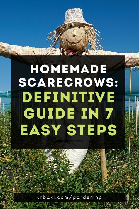 Easy Diy Scarecrow For Garden, Make A Scarecrow For The Garden, Garden Scarecrow Ideas Diy, Scarecrow Garden Ideas, Outdoor Scarecrow Display, Scarecrows For Garden Yard Art, Garden Scarecrows, Life Size Scarecrow, Homemade Scarecrow For Garden