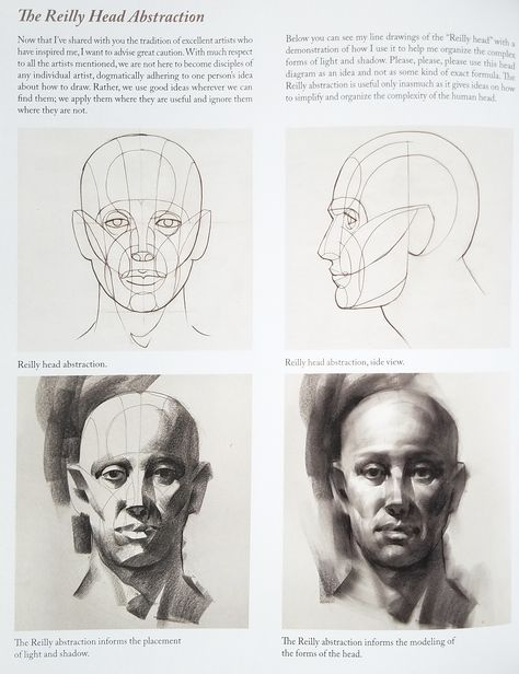 Reilly Head Abstraction Method By Nathan Fowkes Frank Reilly Method, Nathan Fowkes Portraits, Asaro Head Method, The Reilly Method, Reily Method Head, Reilly Method Step By Step, Reilly Method Head, Reilly Head, Reilly Abstraction