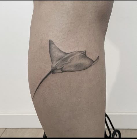 Realistic Stingray Tattoo, Sea Ray Tattoo, Wide Tattoo, Floral Stingray Tattoo, Stingray Tattoo Thigh, Stingray Tattoo Simple, Minimalist Manta Ray Tattoo, Stingray Sternum Tattoo, Manta Ray Chest Tattoo