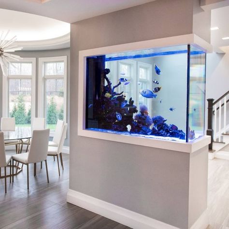 Aquarium In The Wall, Fish Tank In House Living Rooms, Custom Aquarium Ideas, Wall Fish Tank Ideas, Built In Fish Tank Wall, Modern Fish Tank Ideas Living Rooms, Fish Tank In Living Room, Home Fish Tank Ideas, Modern Fish Tank