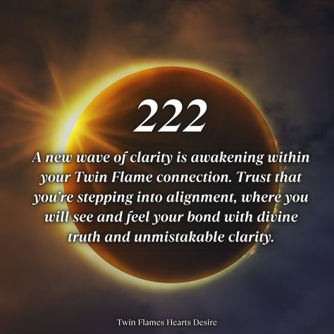 You will begin to see your Twin Flame connection with deeper clarity. Comment "222" to claim this new wave of energy. ✨ Are you ready to heal Twin Flame separation forever? Comment "READY" and I'll send you a link to sign up for an introductory session with me. 💫 #twinflame #love #lovequotes #truelove #truth #twinflames #soulmate Kundalini Twin Flame, Twin Flame Separation Quotes, Twinflames Quotes, Twin Flame Surrender, Separation Quotes, Twin Flame Separation, Twin Flame Connection, Source Messages, Soul Connections