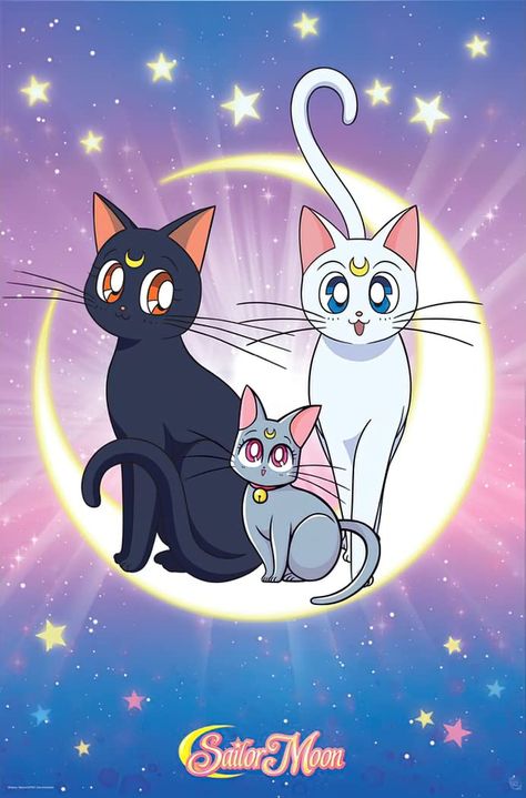 Diana Sailor Moon, Sailor Moon Birthday, Luna Artemis, Sailor Moons, Sailor Moon Cat, Powerpuff Girls Characters, Sailor Moon Tattoo, Luna And Artemis, Sailor Moon Luna