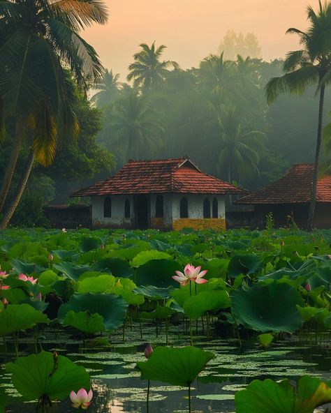 A peaceful lotus pond in a traditional Kerala village at misty sunrise. #MistySunrise #LotusPond #KeralaVillage #SereneNature #GoldenHour #RuralBeauty #NatureAtDawn #TranquilScene #VillageLife #DucksInPond #LotusFlowers #NatureLovers #KeralaVibes #MistyMorning Kerala Village, Misty Sunrise, Lotus Pond, Village Life, Lotus Flower, Architecture Details, Kerala, Lotus, Architecture