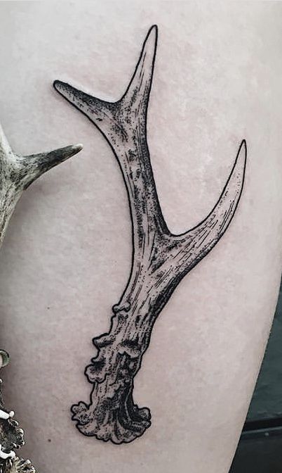 Deer Antler Tattoo Design, Antlers Tattoo Design, White Tail Deer Antler Tattoo, Deer Antler Knee Tattoo, Deer Horn Drawing, Antler Rib Tattoo, Elk Antler Tattoo Men, Antler Knee Tattoo, Coyote Skull Tattoo