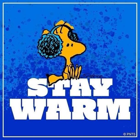 Warm Quotes, Goodnight Snoopy, Saturday Greetings, Charlie Brown Quotes, Good Morning Winter, Good Morning Snoopy, Woodstock Peanuts, Snoopy Cartoon, Snoopy Funny