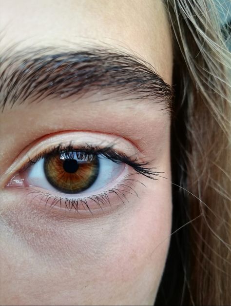 Hazle Eyes, Pretty Eye Colors, Central Heterochromia, Eyes Vision, Hazel Green Eyes, Eye Color Chart, Eye Facts, Beautiful Eyes Color, Princess Face